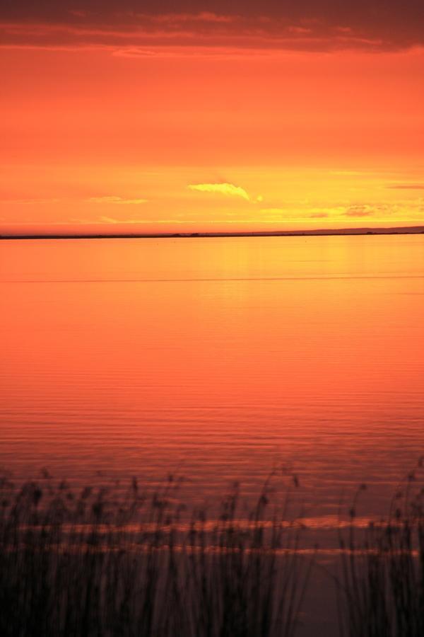 Lake Albert Motel Meningie Екстериор снимка